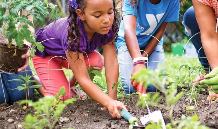 Garden work Image